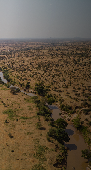 High-angle aerial shot of a brown river winding through a dry, arid savanna landscape dotted with scattered trees and low vegetation.